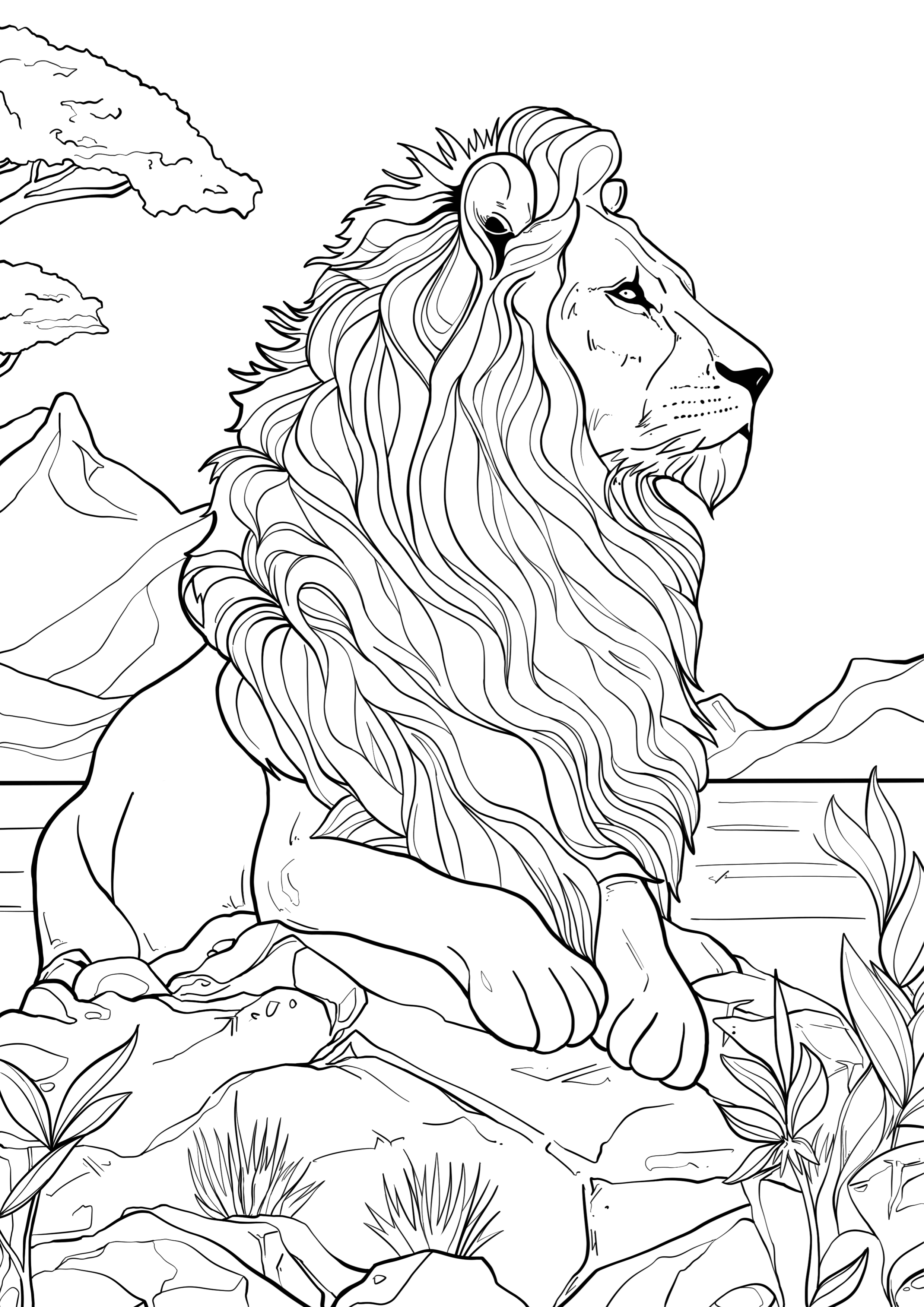 A proud Lion sitting on a Rock